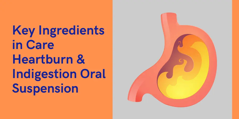 Key Ingredients in Care Heartburn & Indigestion Oral Suspension