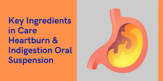 Key Ingredients in Care Heartburn & Indigestion Oral Suspension